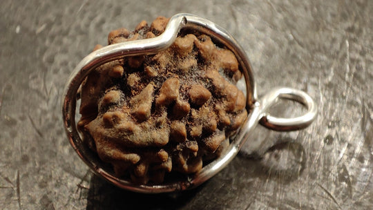 Astrologie von Rudraksha | der Geburtsstern und der Stein, der der Rudraksha entspricht