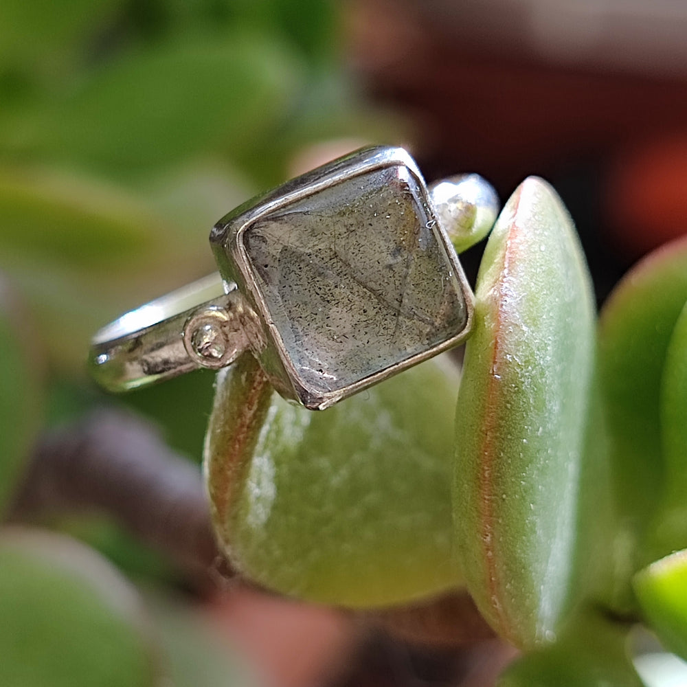 Anello con pietra in argento 925 - SAMON