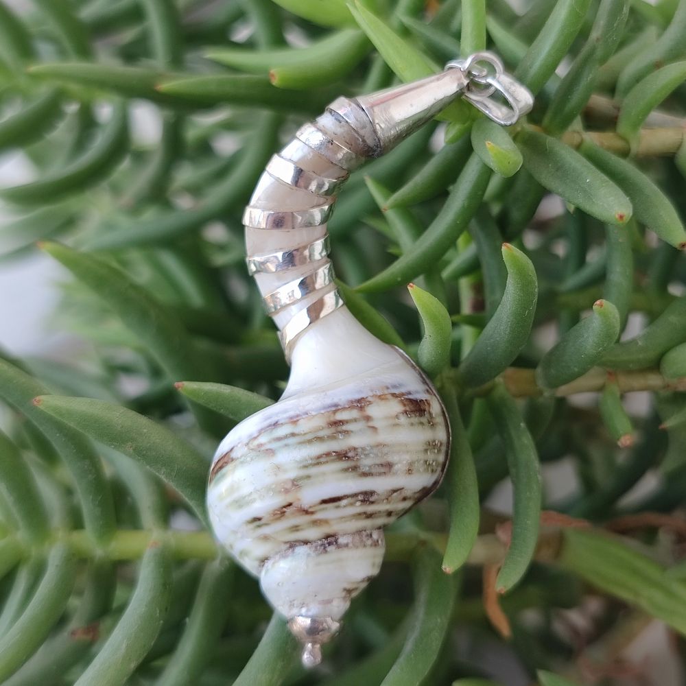 Ciondolo conchiglia in argento 925 - HARDOI