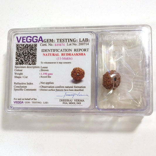 11 mukhi Rudraksha naturale - 11 facce 1,19 gr