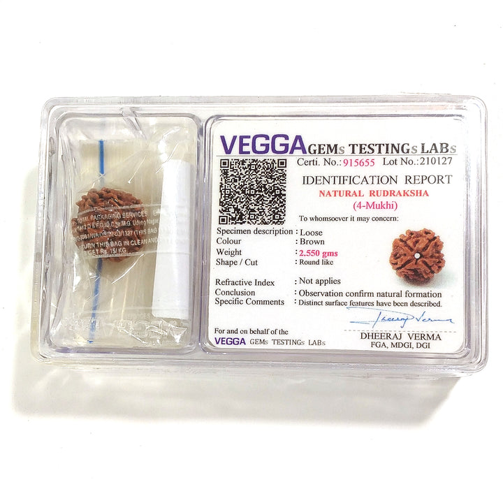 4 Mukhi Rudraksha naturale - 4 facce 1,93 gr