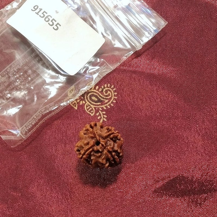 4 Mukhi Rudraksha naturale - 4 facce 2,55 gr
