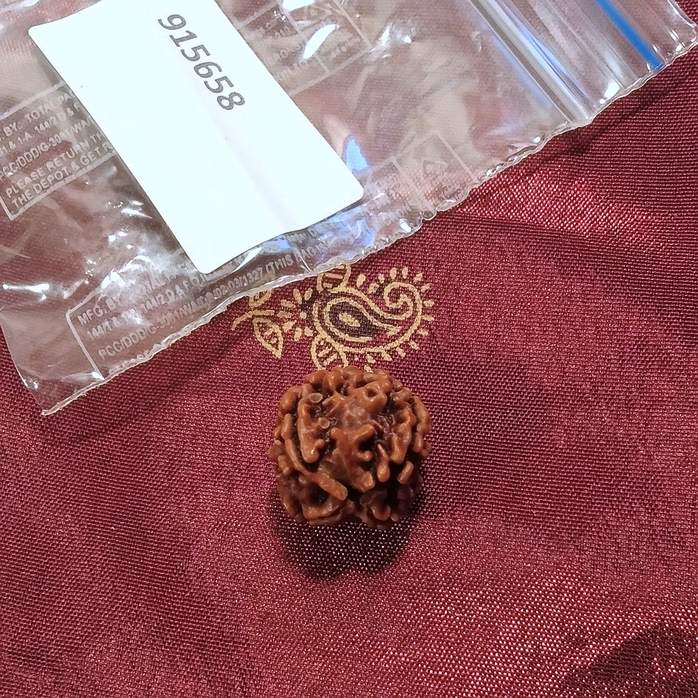 4 Mukhi Rudraksha naturale - 4 facce 1,93 gr