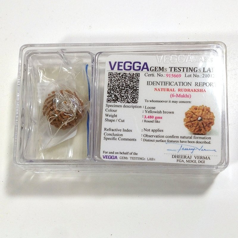 6 mukhi Rudraksha naturale - 6 facce 3,48 gr