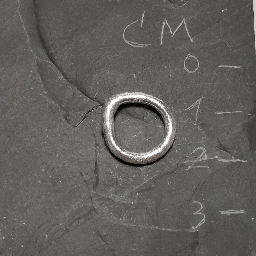 The Necklace - the circle of life - Necklace