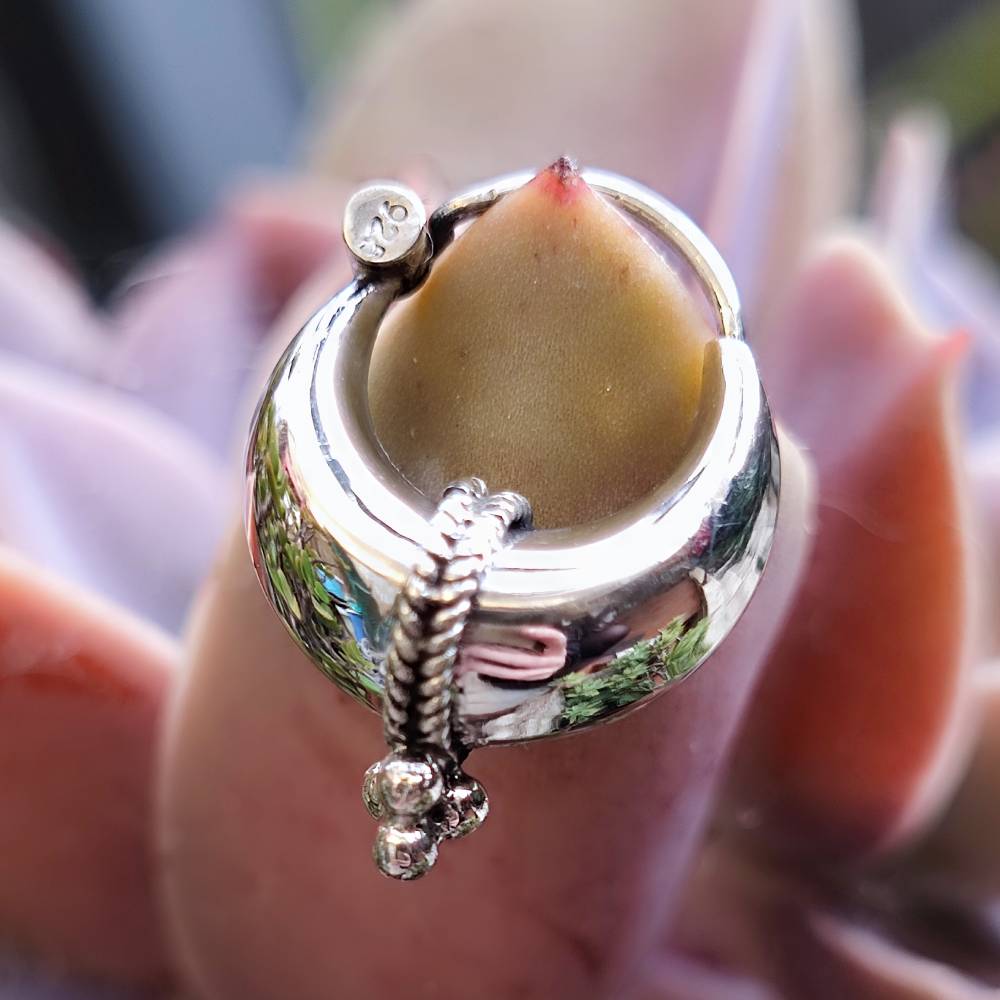 ORECCHINI a cerchio in argento 925 - RODDAM