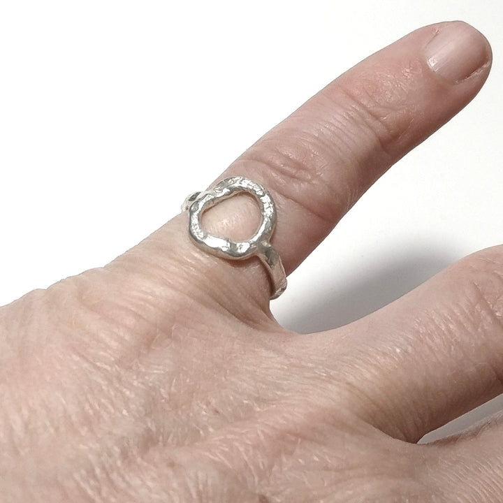 The circle of life - the ring