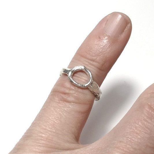 Il cerchio della vita - l'anello