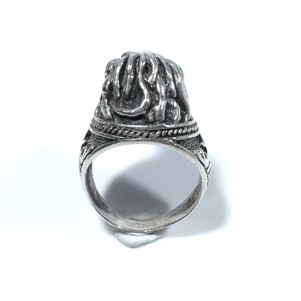 925 silver ring handcrafted RING | LION head