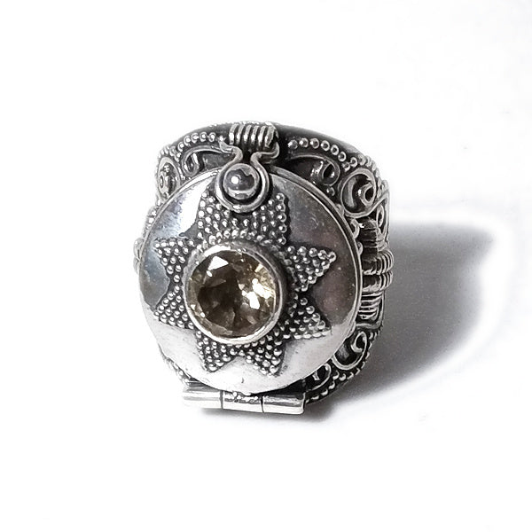 Anello PSYLLO veleno in argento 925 con Radice di Rubino, Granato