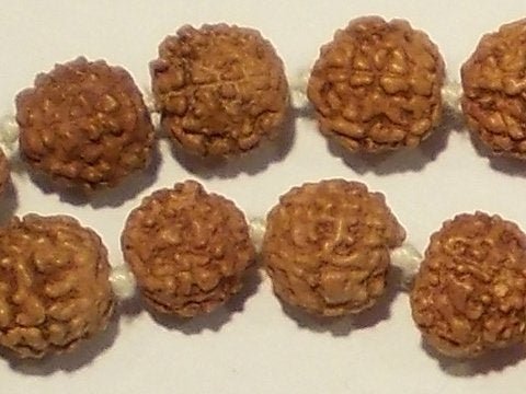 Japa Mala - 5 mukhi Rudraksha 108 giallo – immagine2