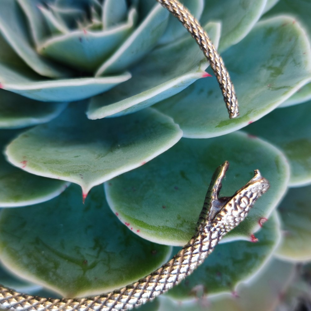 dettaglio testa e coda del serpente