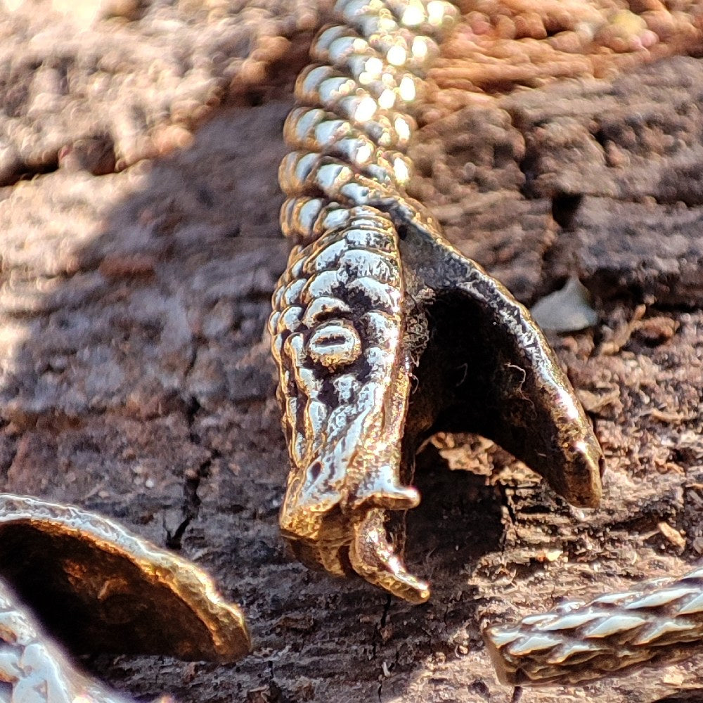 dettaglio testa del serpente