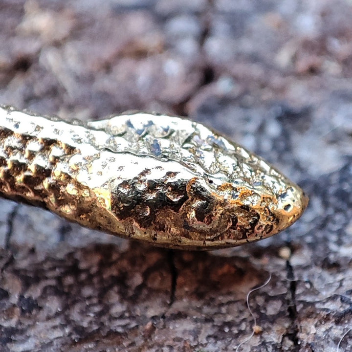 dettaglio testa del serpente