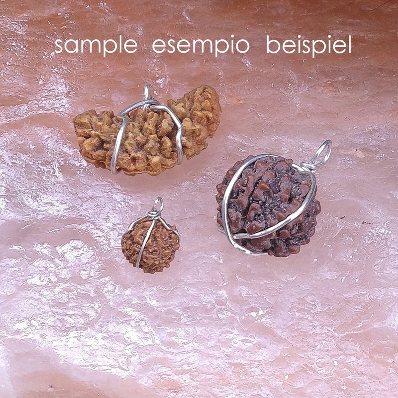 10 mukhi Rudraksha naturale - 10 facce 0,85 gr – immagine5