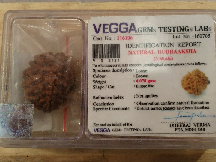 Rudraksha certificata - 2 Mukhi4, 07gr