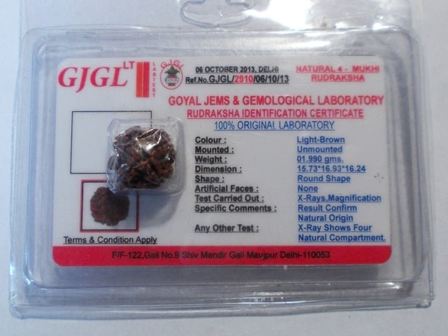 Rudraksha certificata - 4 Mukhi 1,99 gr