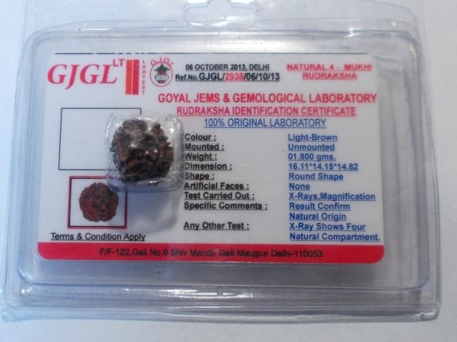 Rudraksha certificata - 4 Mukhi 1,8 gr