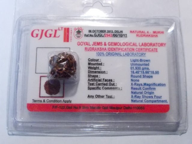 Rudraksha certificata - 4 Mukhi 1,92 gr