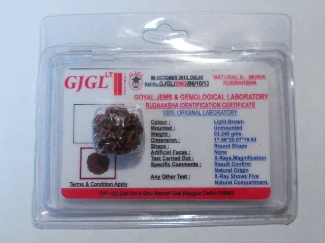 Rudraksha certificata - 5 Mukhi 3,24 gr