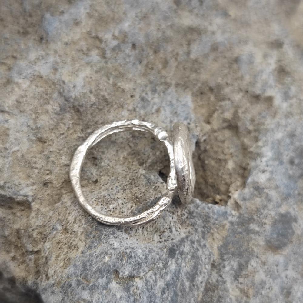 Il cerchio della vita - l'anello