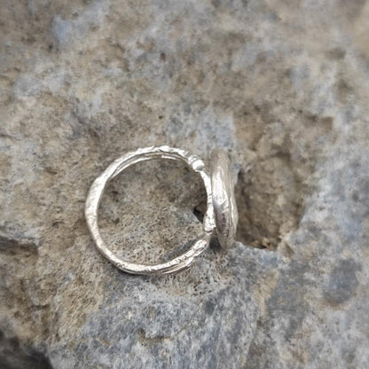 Il cerchio della vita - l'anello