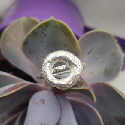Il cerchio della vita - l'anello
