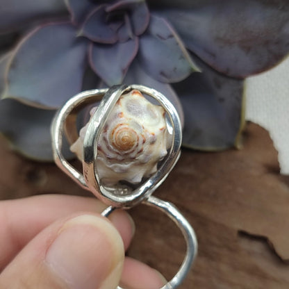 Anello artigianale in argento 925 con conchiglia - COQUILLE
