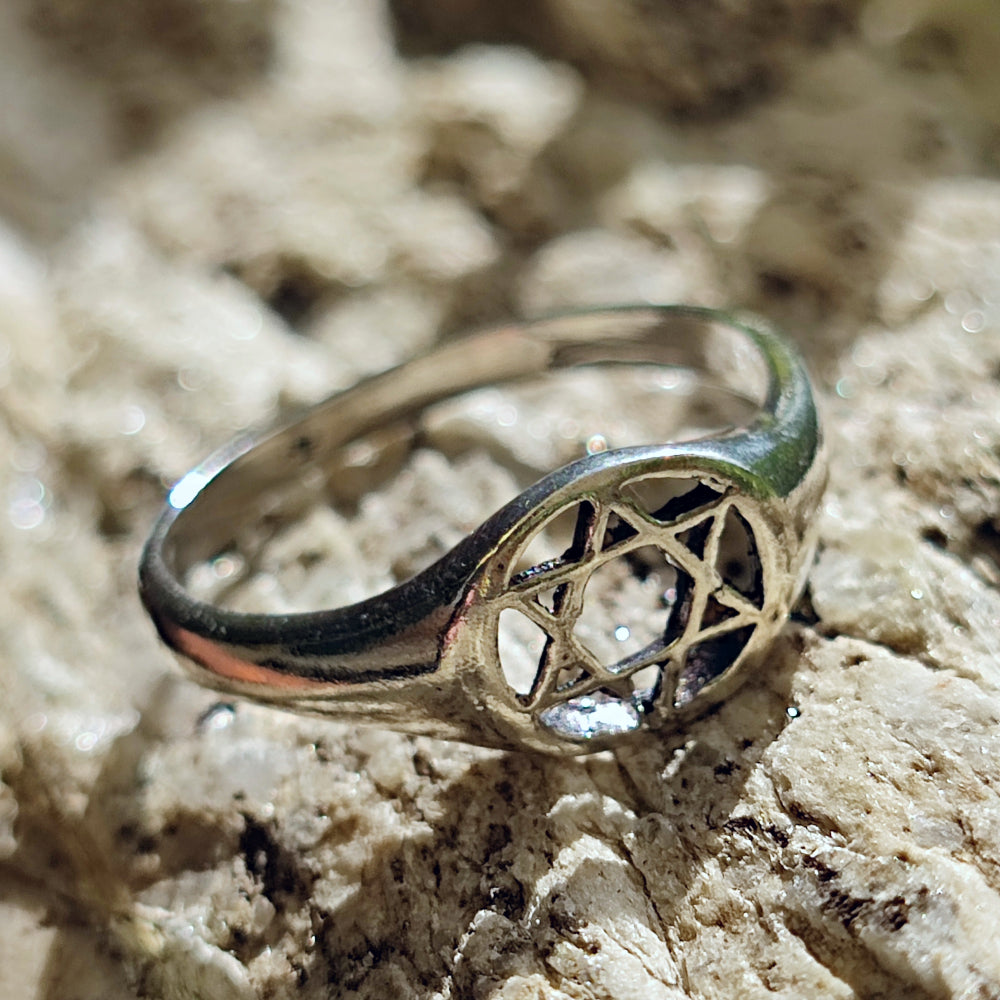 Orecchini pendenti in argento sterling con tartaruga marina e pietra di Orecchini pendenti in argento sterling con tartaruga marina e pietra di