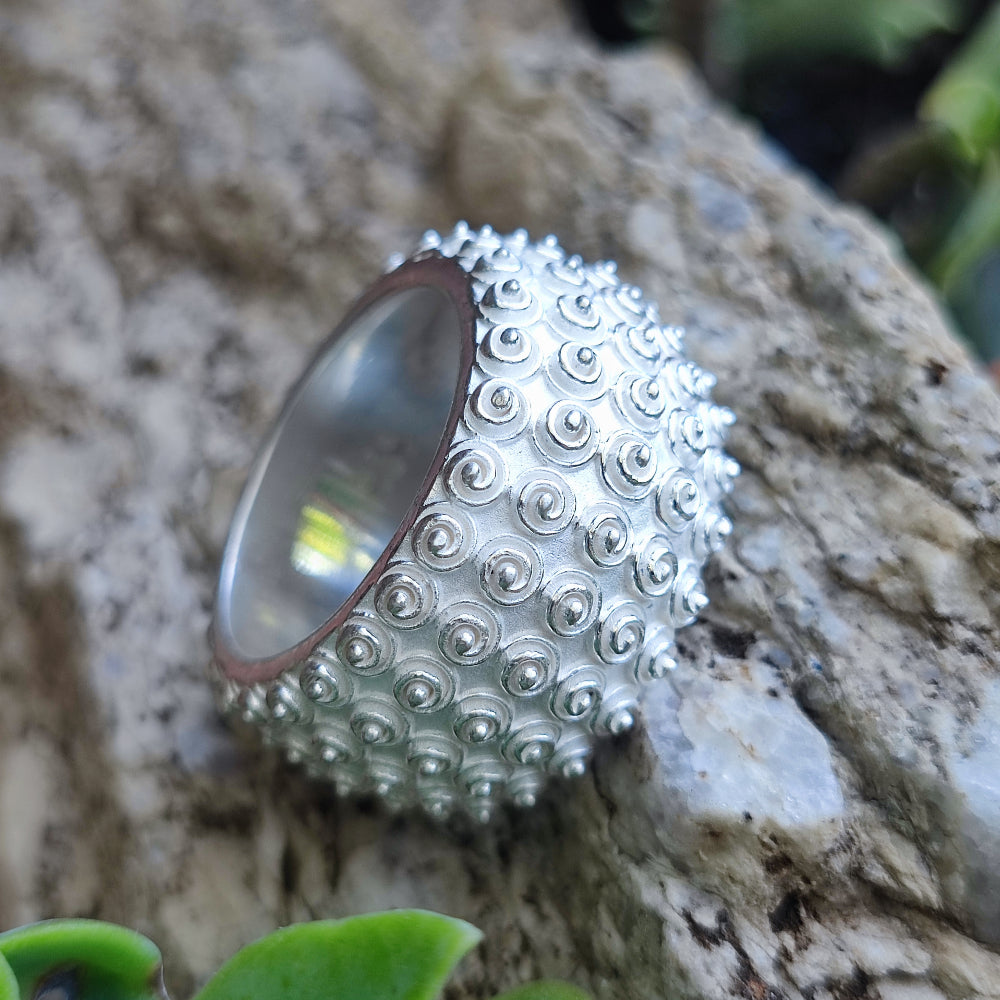 Anello a fascia alta satinata in argento 925 - SIMBAMAEL