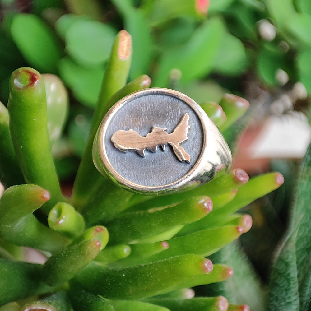 ANELLO artigianale in argento 925 Anello da Mignolo ELBA