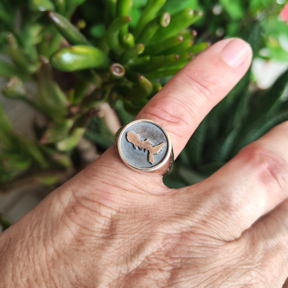 ANELLO artigianale in argento 925 Anello da Mignolo ELBA