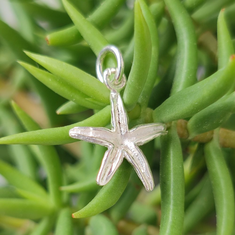 Ciondolo in argento 925 con stella marina - ARADI