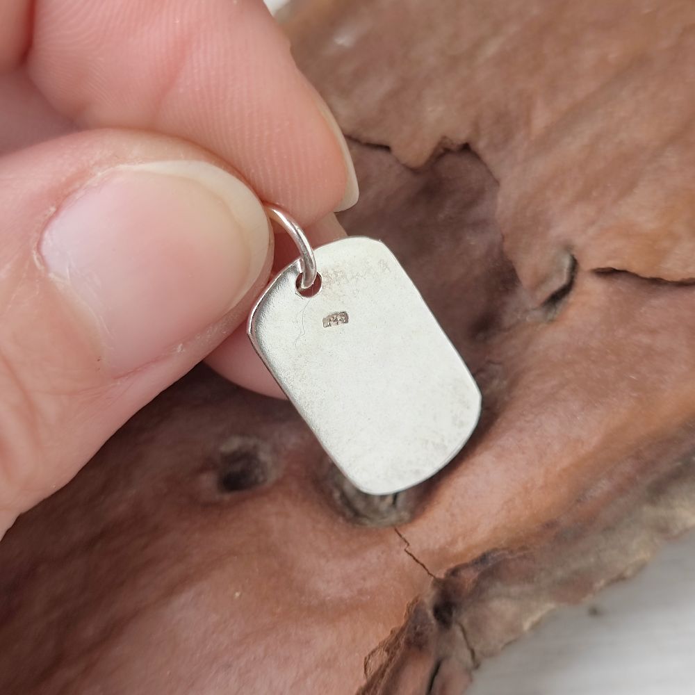 Ciondolo medaglietta in argento 925 - MAXIM