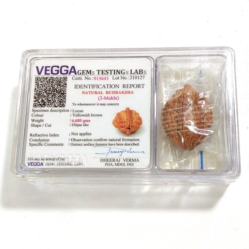 2 mukhi Rudraksha naturale - 2 facce 4,68 gr