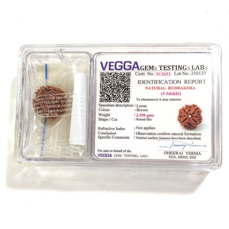 4 Mukhi Rudraksha naturale - 4 facce 2,55 gr