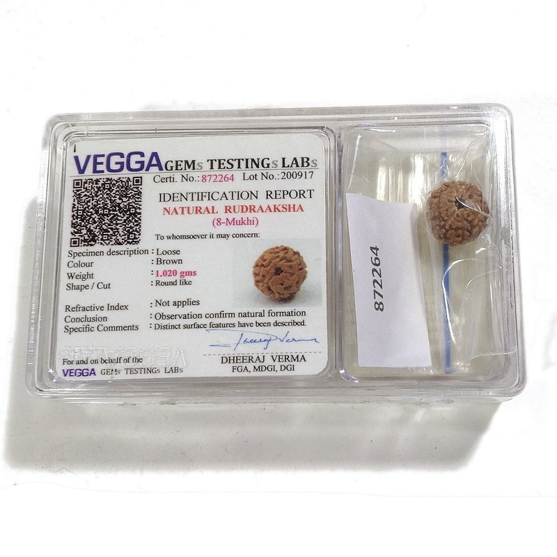 8 Mukhi Rudraksha naturale - 8 facce 1,02 gr