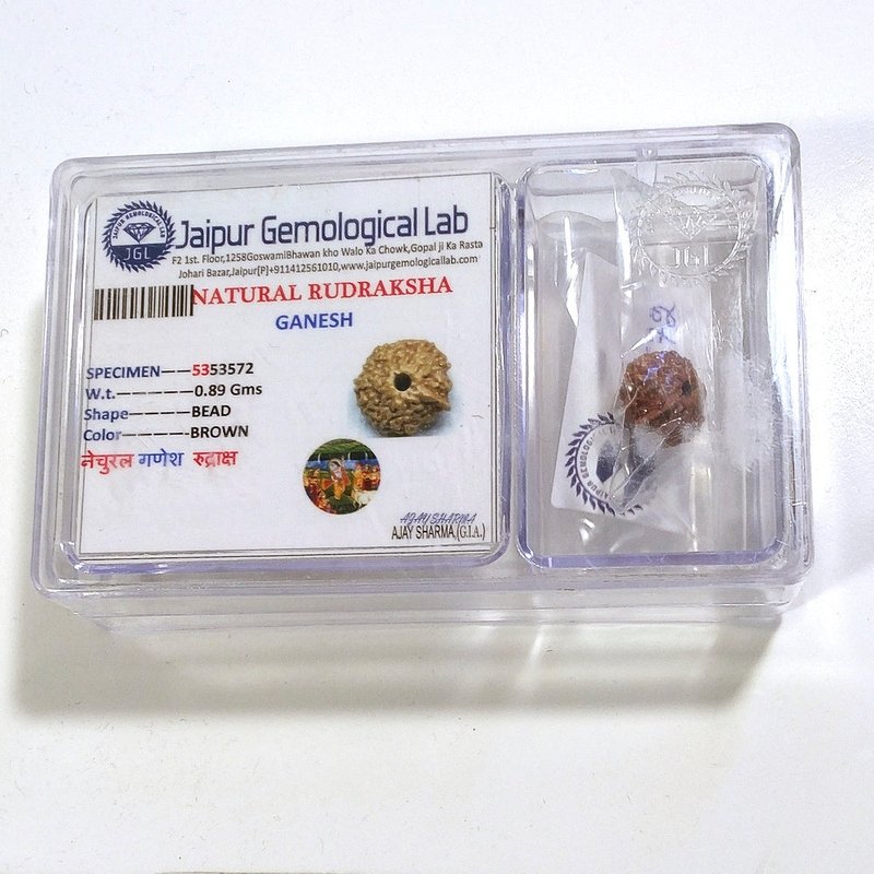 Ganesh Rudraksha naturale - 0,89 gr
