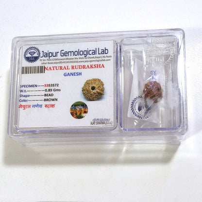 Ganesh Rudraksha naturale - 0,89 gr