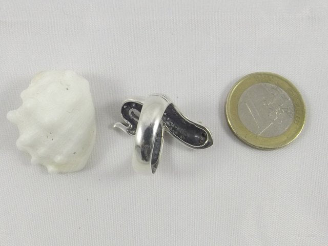 anello argento pesce