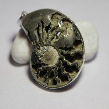 Ciondolo AMMONITE PYRITE - ilmondodiwit - Ciondolo