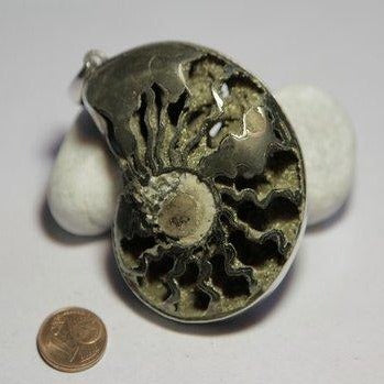 Ciondolo AMMONITE PYRITE - ilmondodiwit - Ciondolo