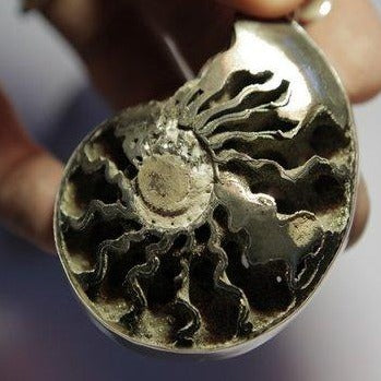 Ciondolo AMMONITE PYRITE - ilmondodiwit - Ciondolo
