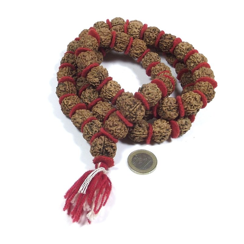 COLLANA ETNICA Japamala 54 Rudraksha 5 mukhi - Uomo Donna – immagine3