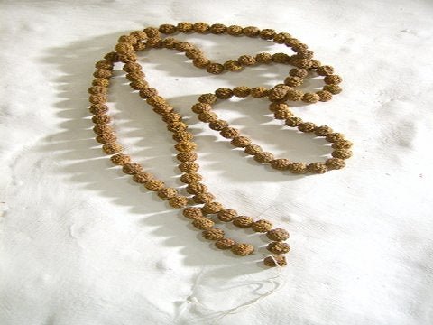 Japamala con 108 rudraksha 10 mm