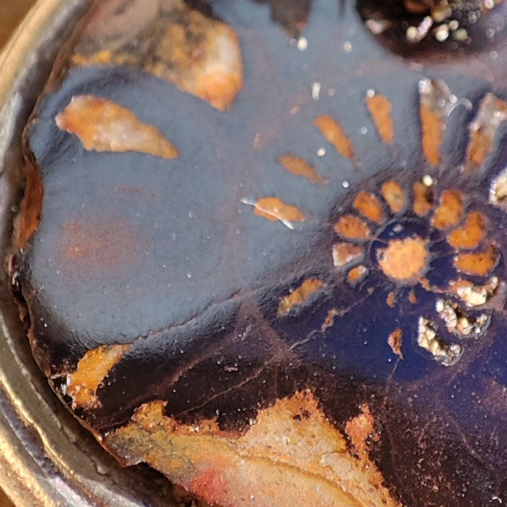 Mono orecchino in argento 925 con Ammonite fossile - Pezzo unico