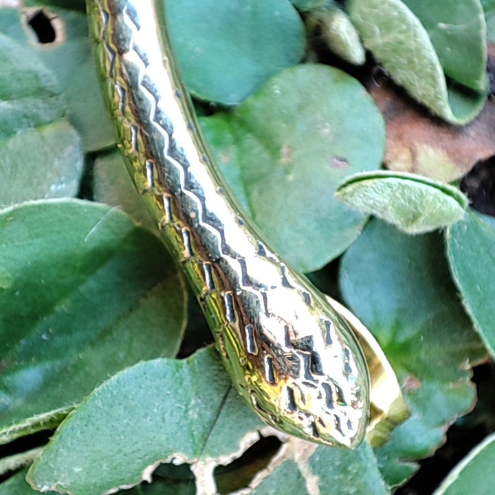 dettaglio serpente