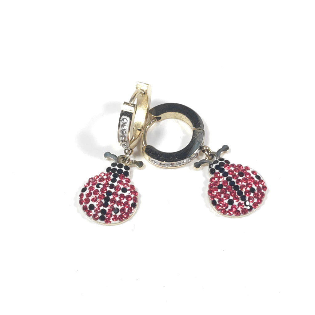 ORECCHINI  Accaio 316 L Chirurgico dorato ORECCHINI  Zircone colorato, Zircone, | Coccinella