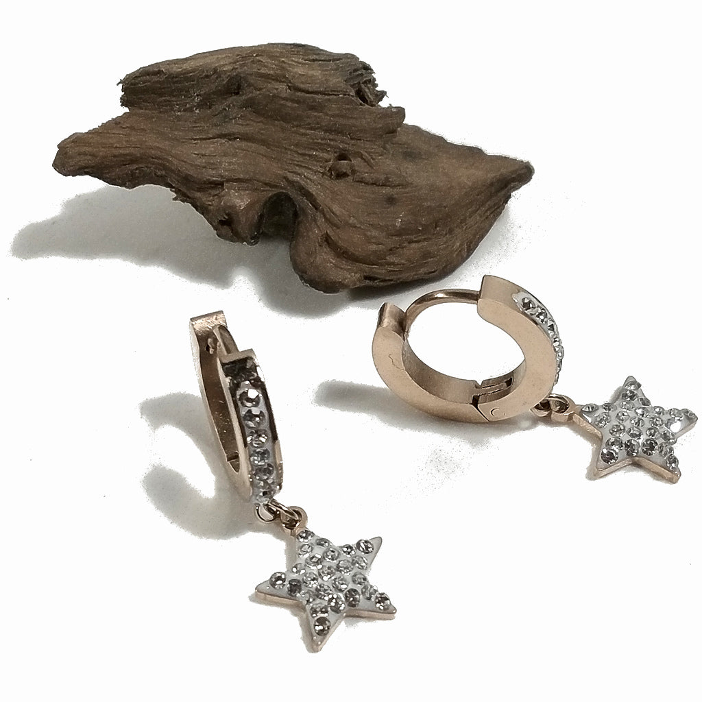 ORECCHINI acciaio 316 L - LUX