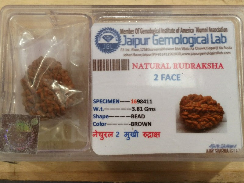 Rudraksha certificata - 2 Mukhi 3,81gr